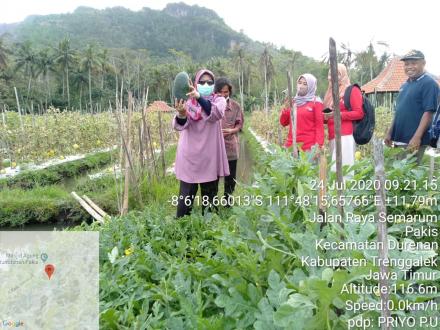 PANEN RAYA BERSAMA BU KADINSOS